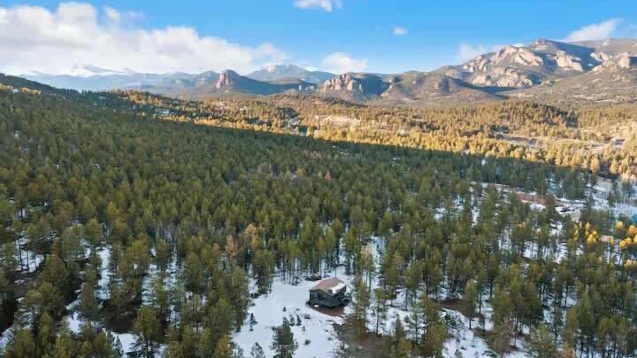 Photo of Others in Pine