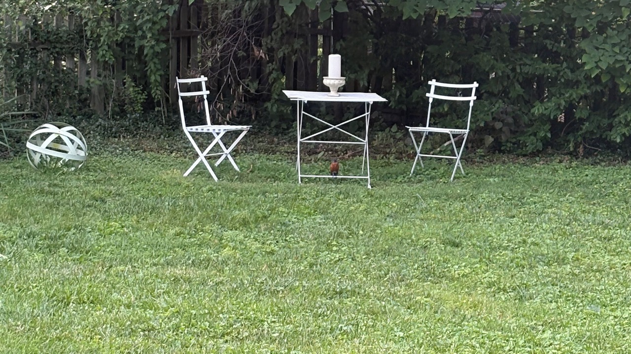 Photo of Outdoor in Roeland Park