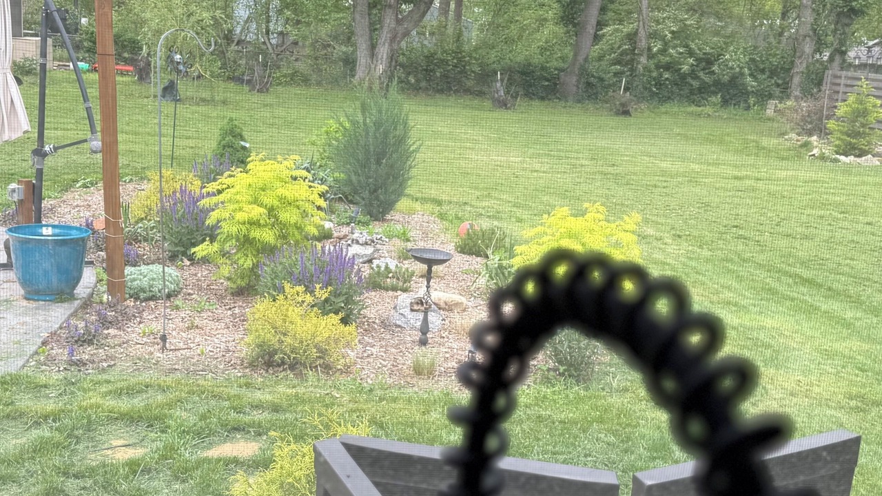 Photo of Outdoor in Waldron