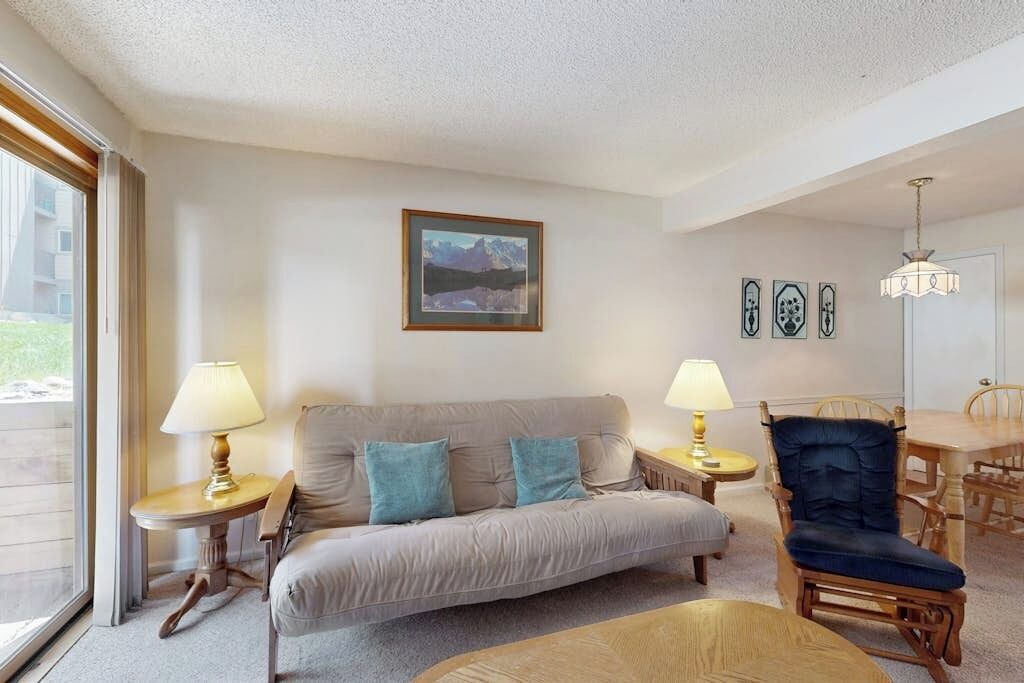 Photo of Livingroom in Steamboat Springs