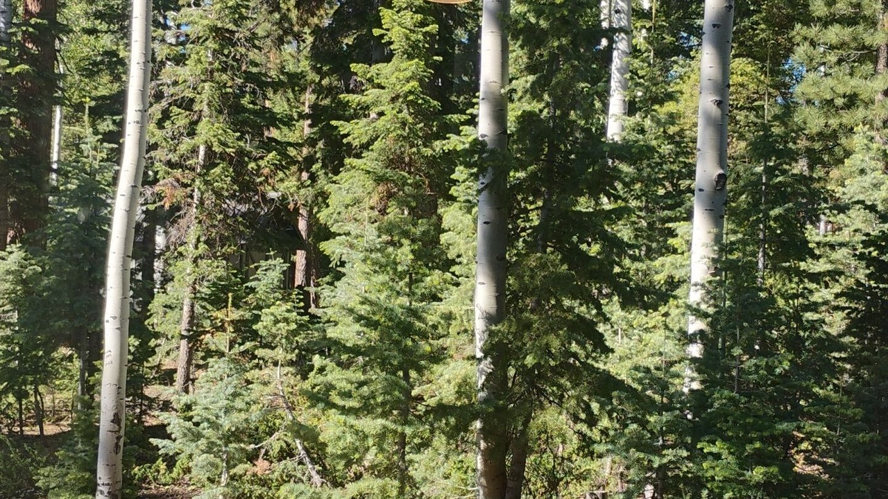 Photo of Others in Meadow View Heights