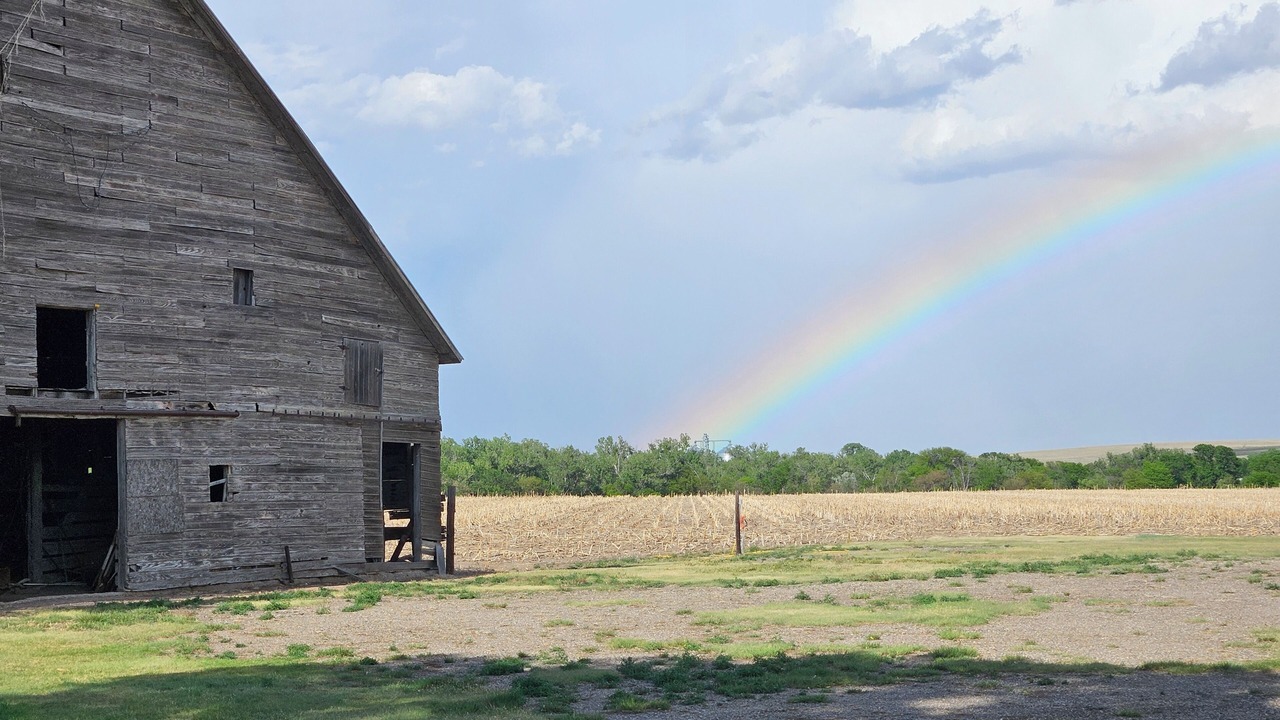 Photo of Outdoor in Decatur County