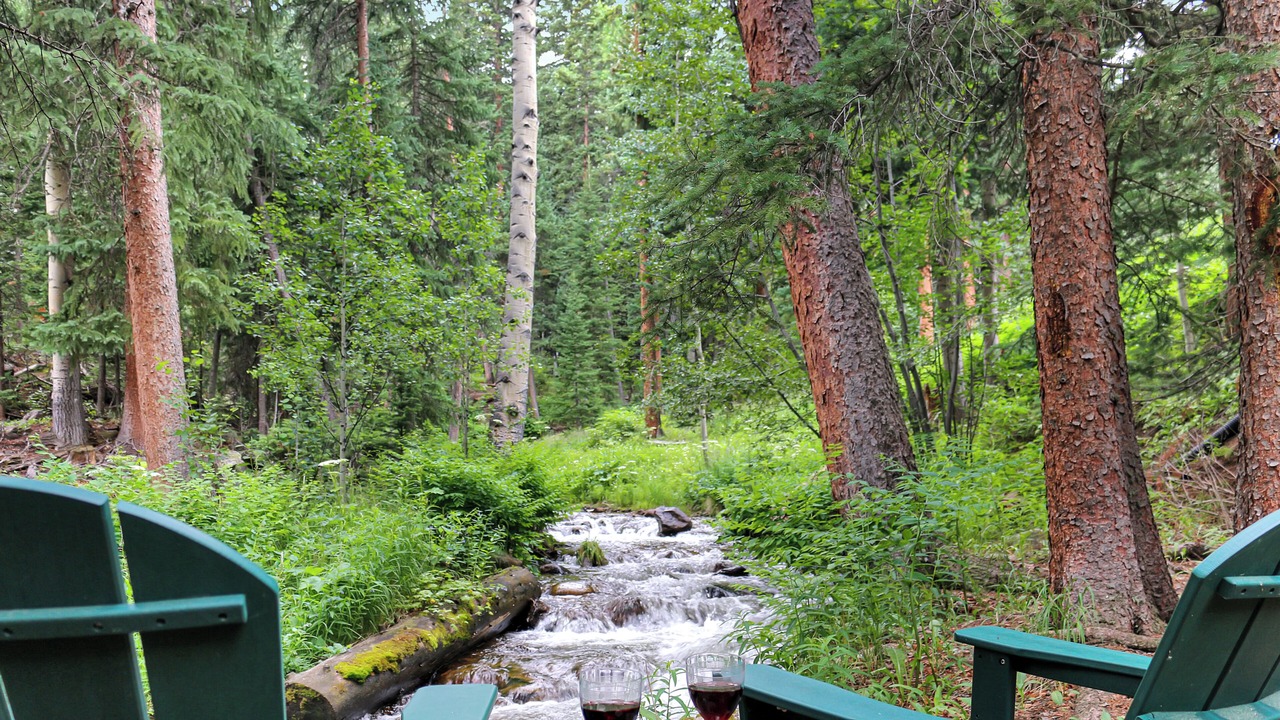 Photo of Outdoor in Downieville-Lawson-Dumont