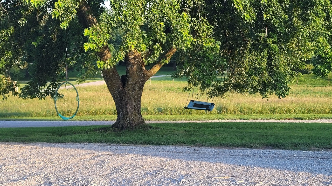 Photo of Others in Waldron