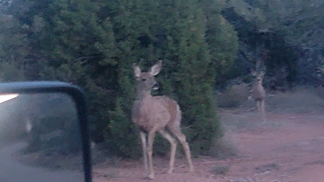 Photo of Others in Fruitland