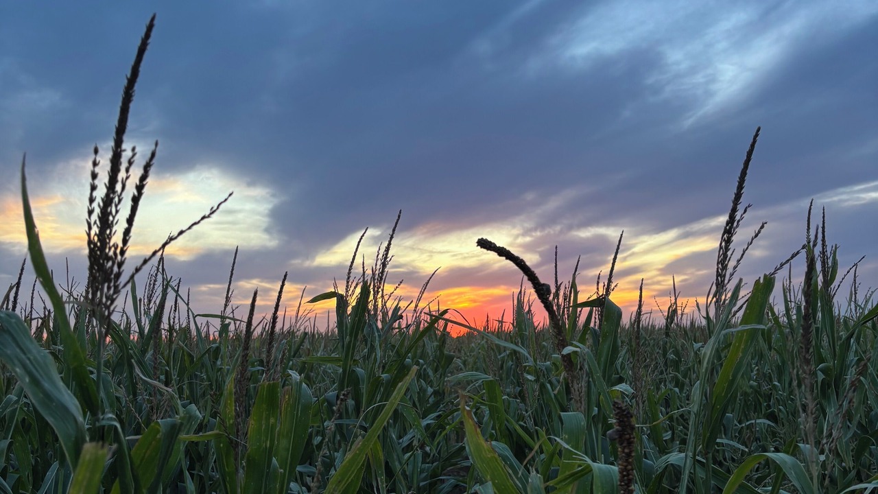 Photo of Others in Sherman County