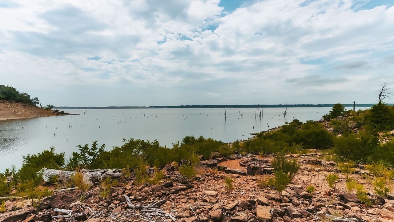 Photo of Outdoor in Neal