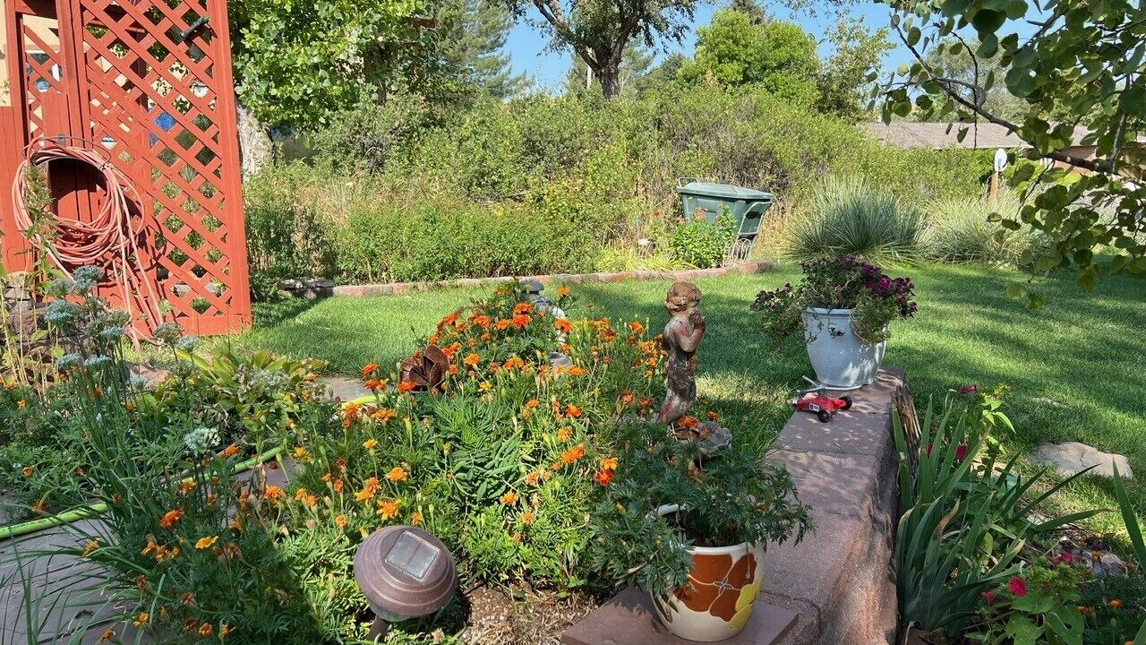 Photo of Outdoor in Wray