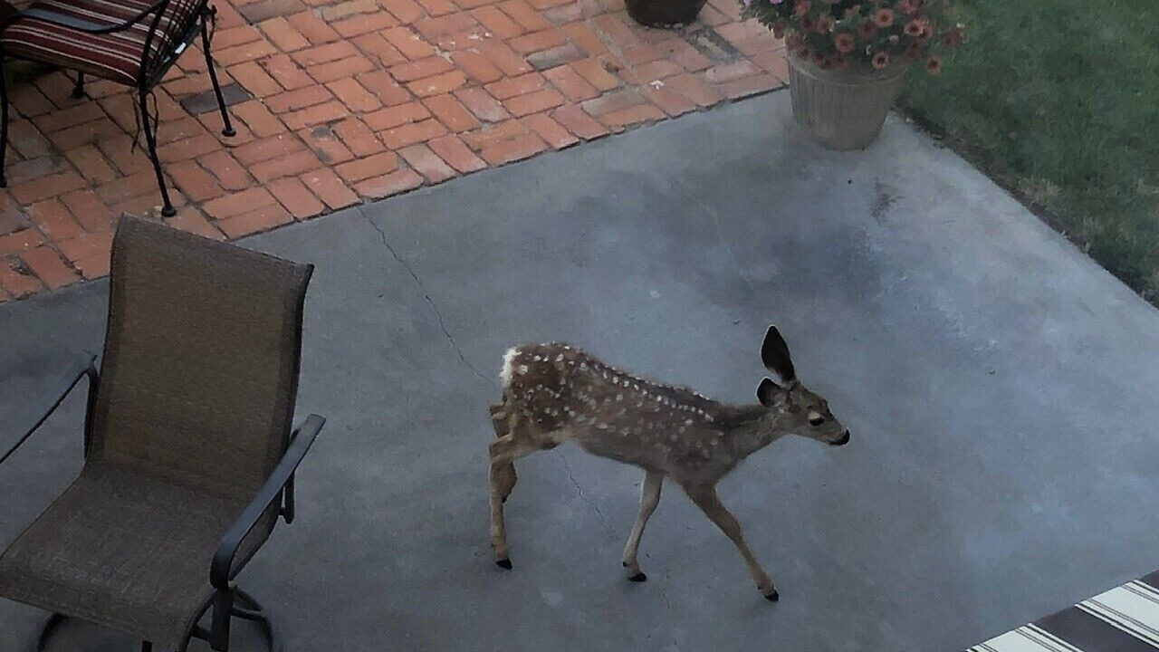Photo of Outdoor in Wray