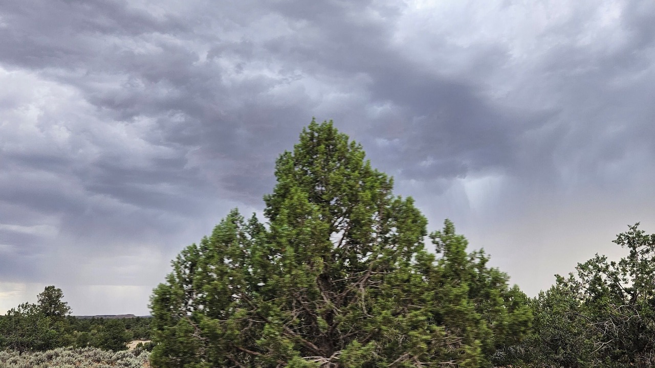 Photo of Others in Apple Valley