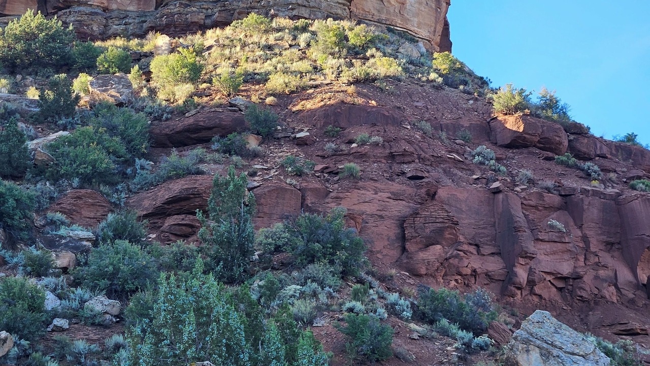 Photo of Outdoor in Apple Valley