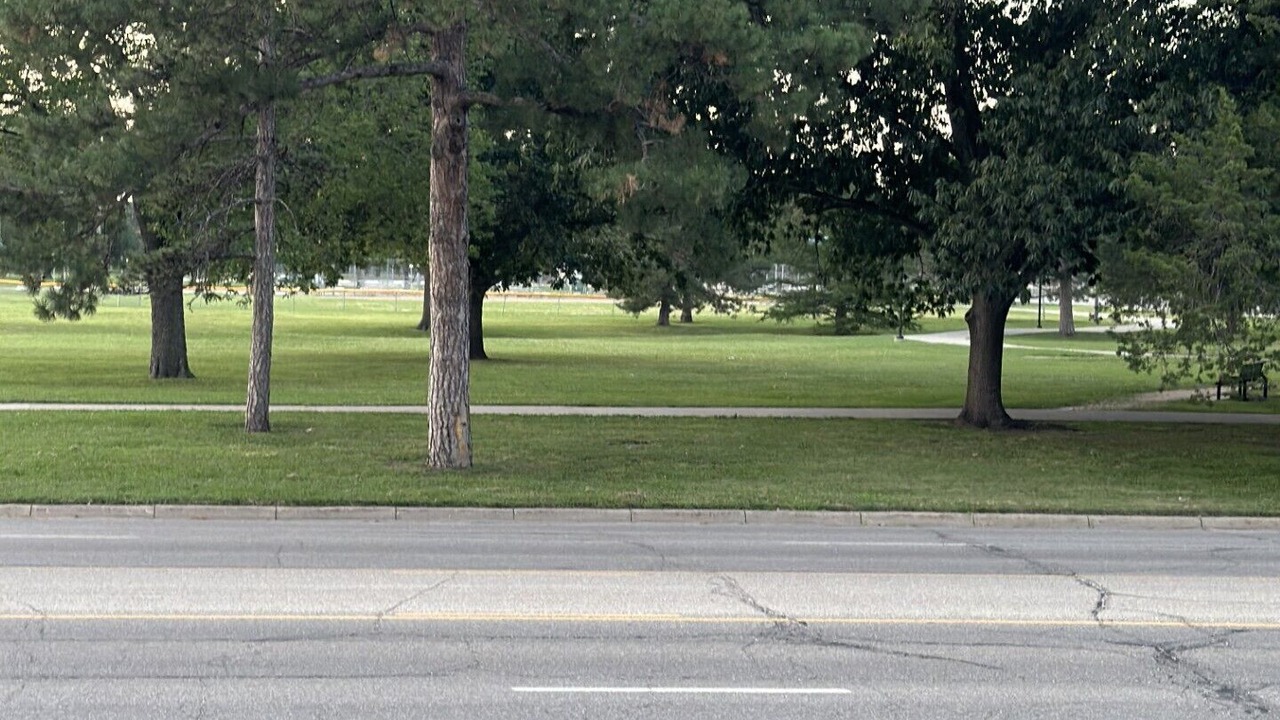 Photo of Others in Manhattan