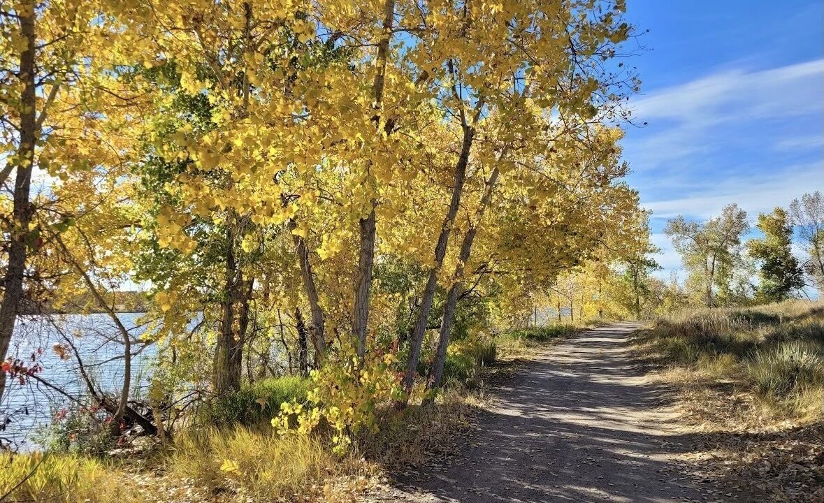 Photo of Outdoor in Prides Crossing