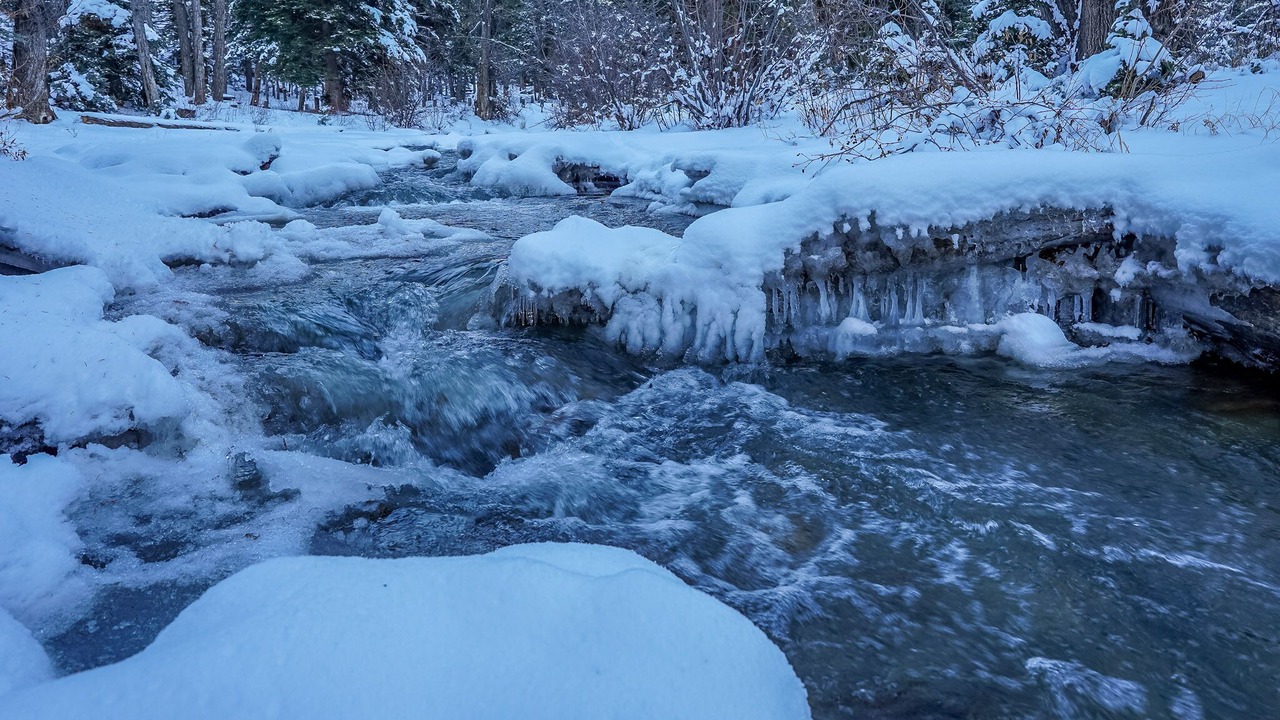 Photo of Outdoor in Red River