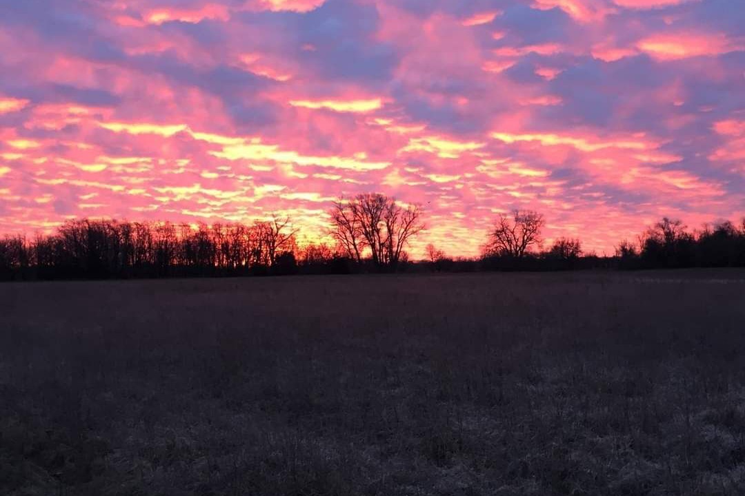 Photo of Outdoor in Murdock