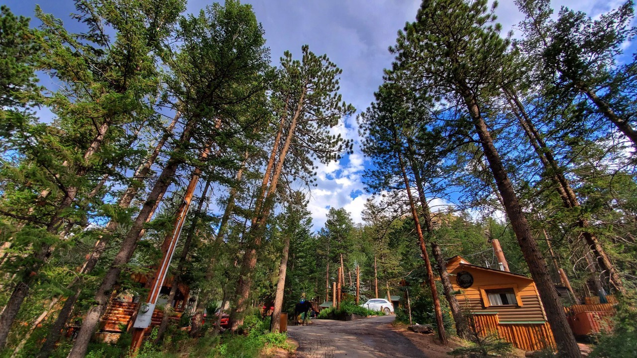 Photo of Others in Estes Park