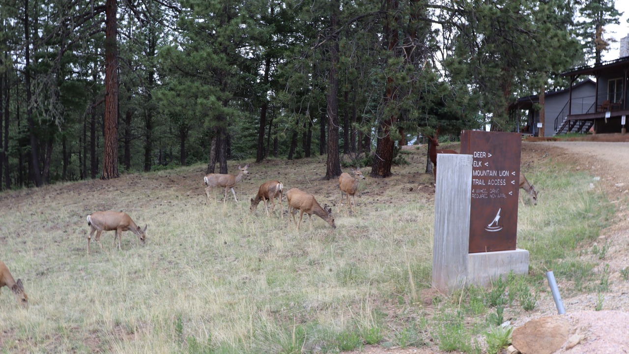 Photo of Others in Angel Fire