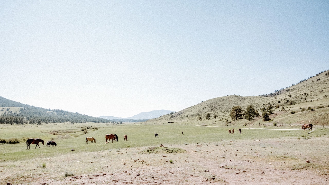 Photo of Others in Park County