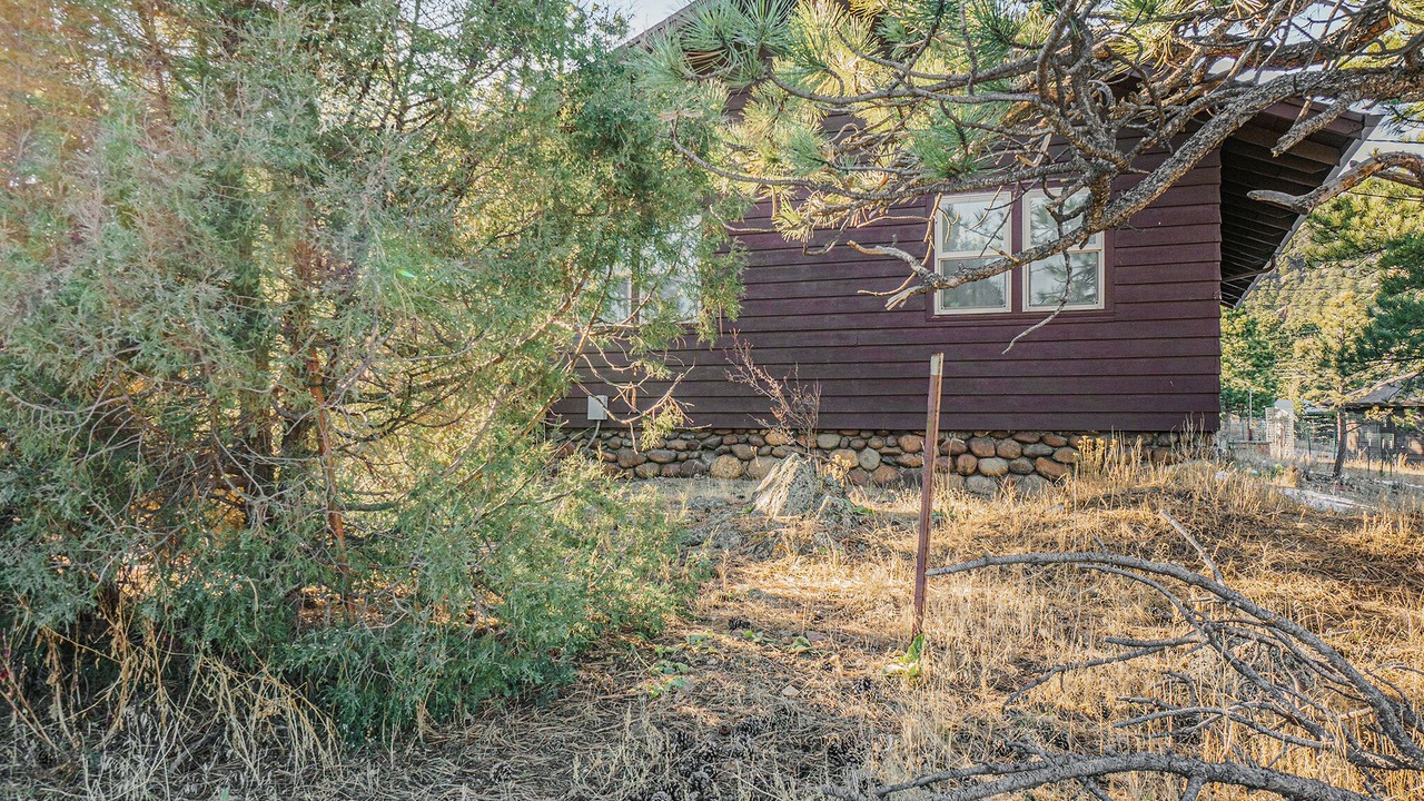 Photo of Outdoor in Estes Park