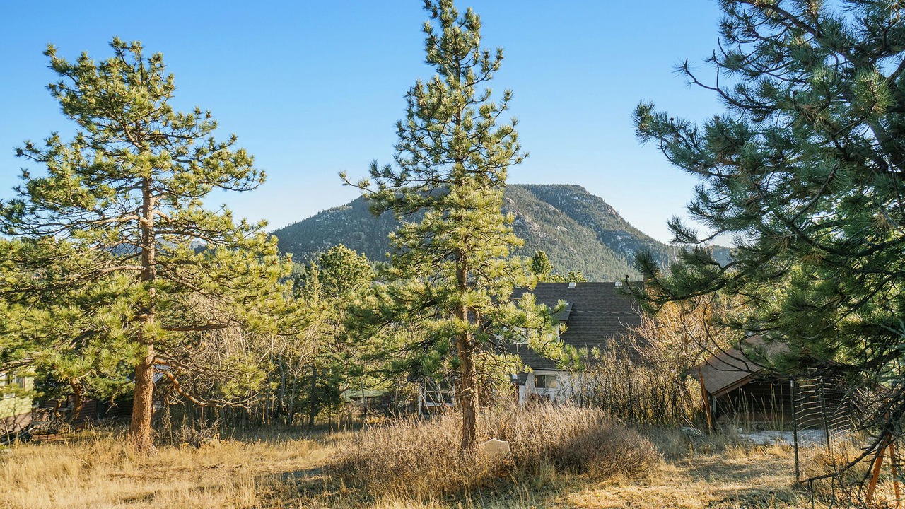 Photo of Others in Estes Park