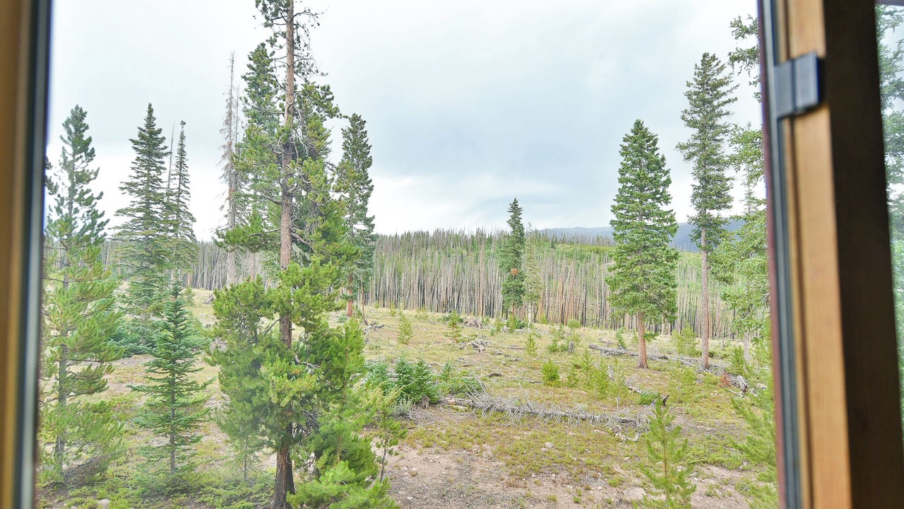 Photo of Others in Wildernest