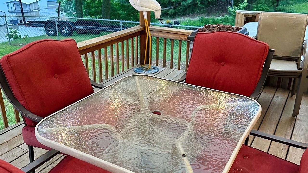 Photo of Outdoor in Wyandotte
