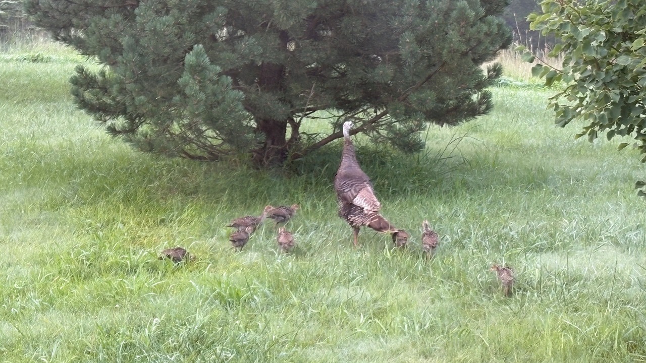 Photo of Others in Hartington