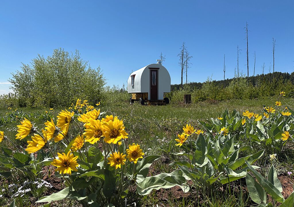 Photo of Outdoor in Casper Mountain
