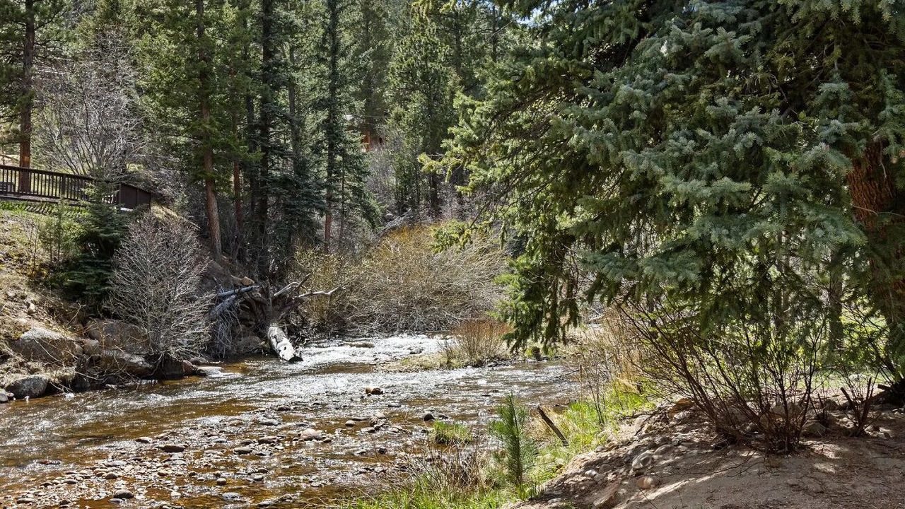 Photo of Others in Estes Park