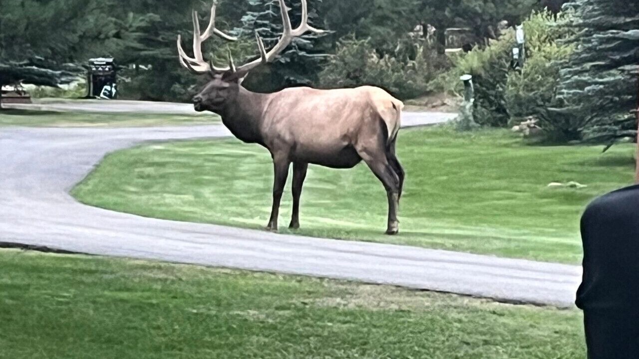 Photo of Others in Estes Park
