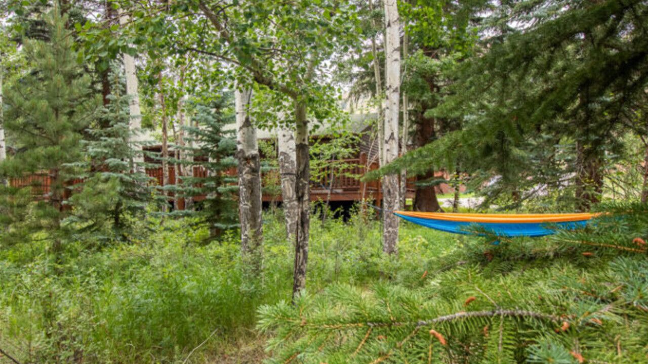 Photo of Others in Estes Park