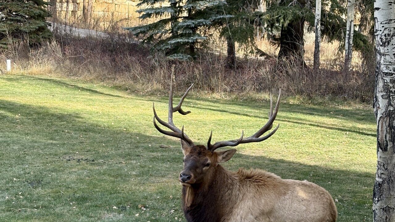 Photo of Others in Estes Park