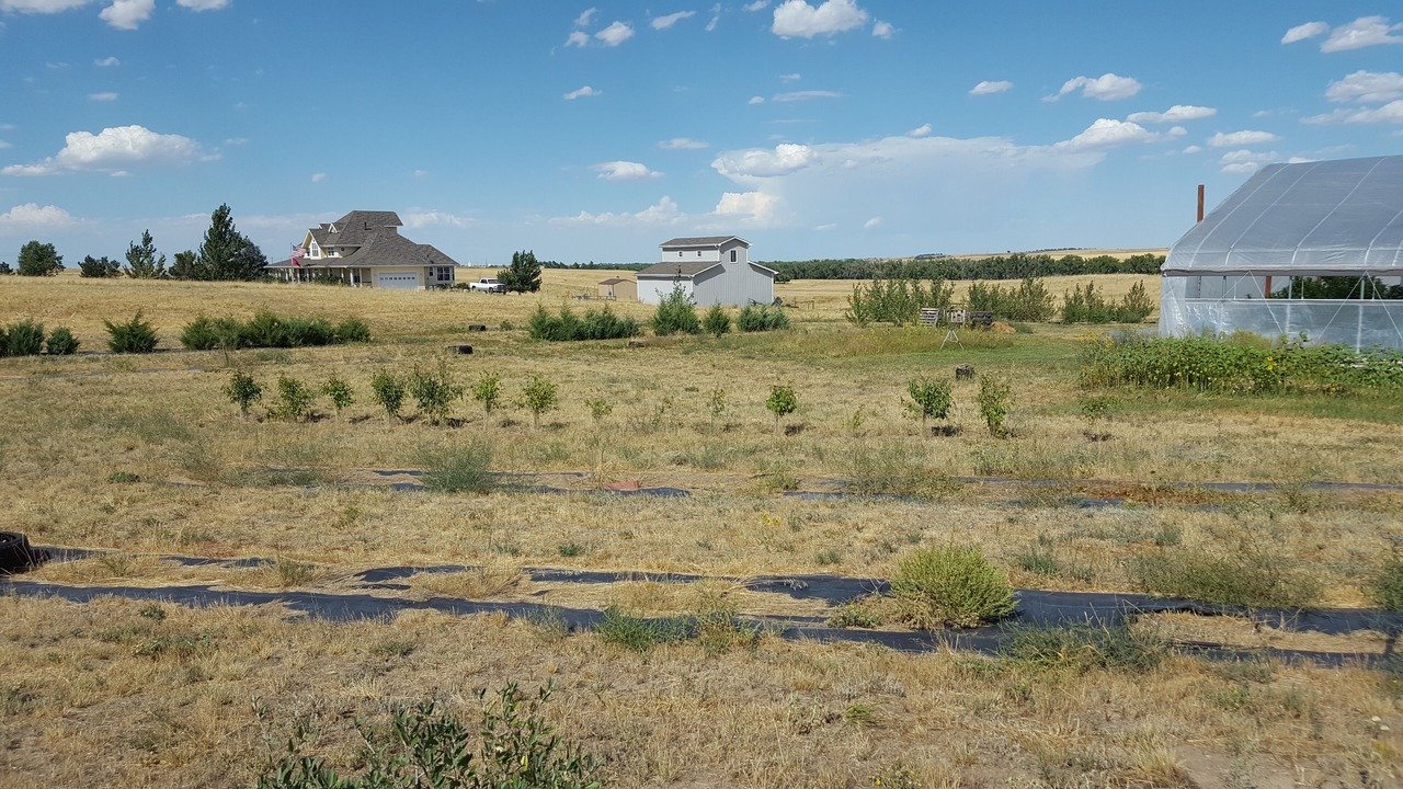 Photo of Outdoor in Arapahoe