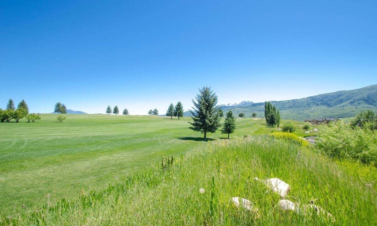 Photo of Outdoor in Wolf Creek