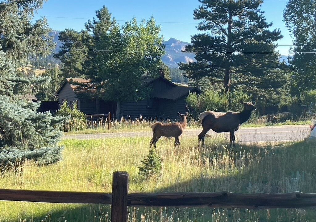 Photo of Others in Estes Park