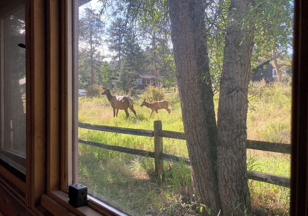 Photo of Others in Estes Park