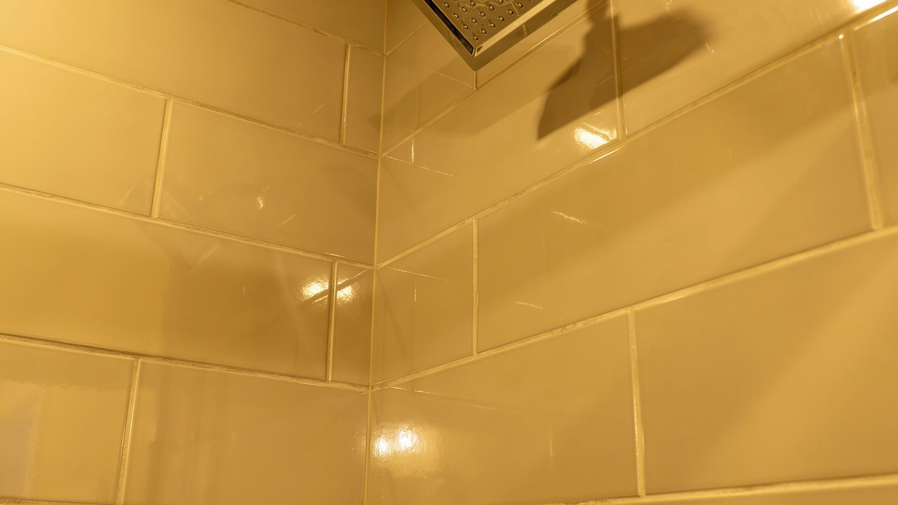 Photo of Bathroom in Limon