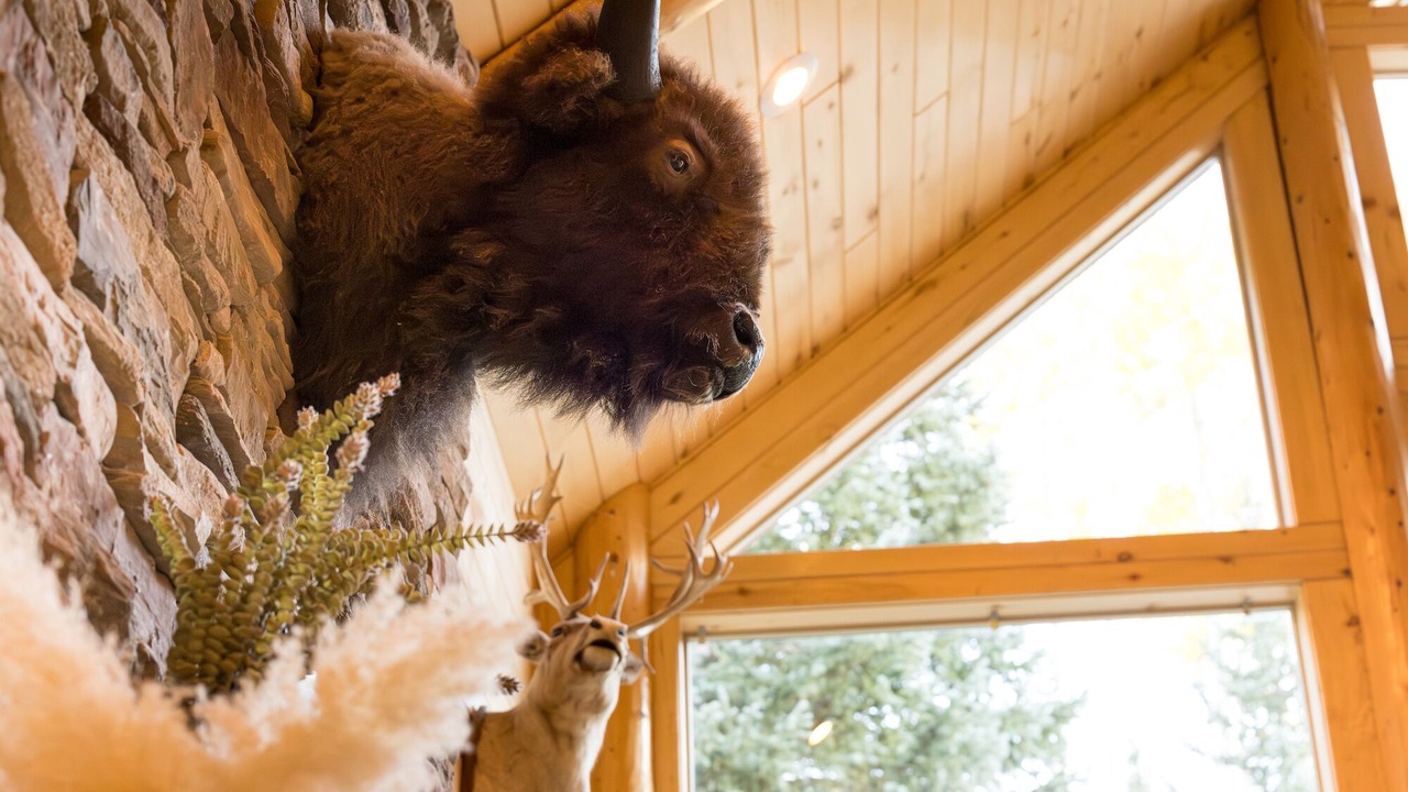 Photo of Others in Mammoth Creek