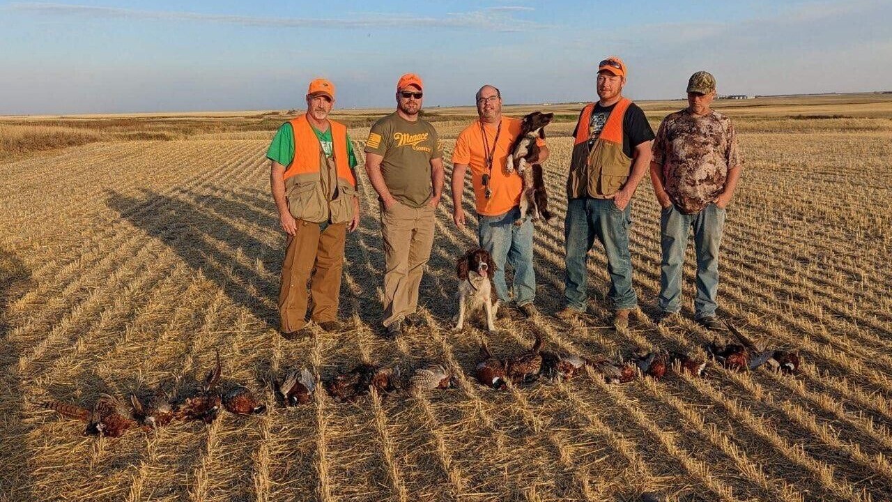 Photo of Others in Chase