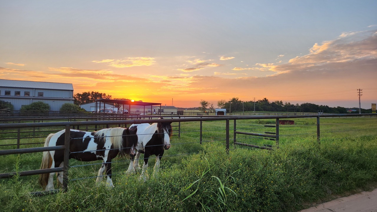 Photo of Others in Payne County