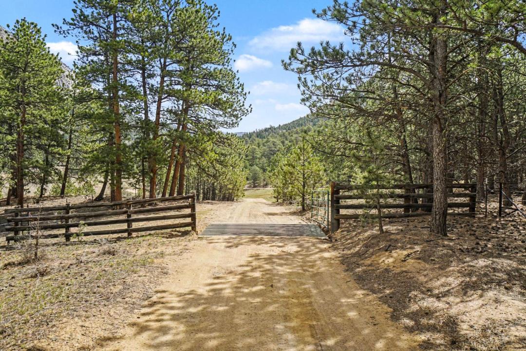 Photo of Others in Estes Park