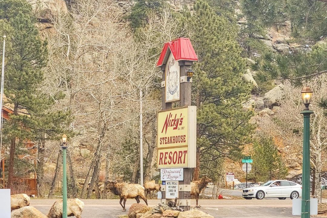 Photo of Others in Estes Park