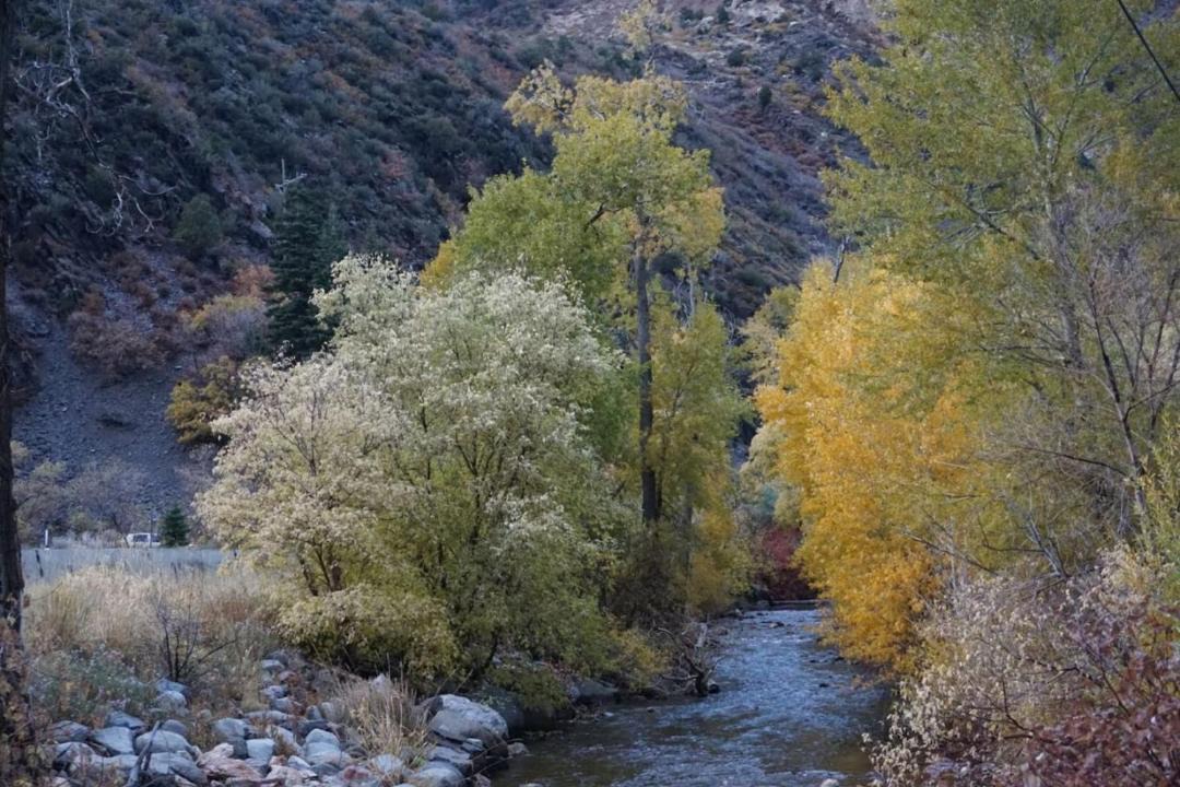 Photo of Others in Snowbird