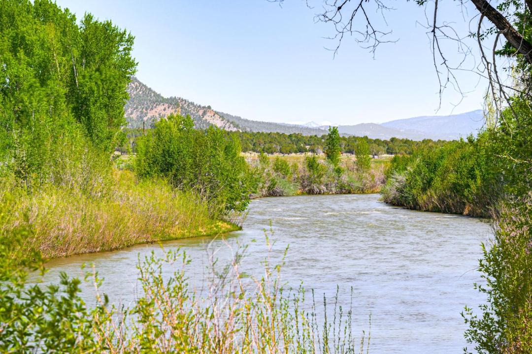 Photo of Others in Pagosa Springs