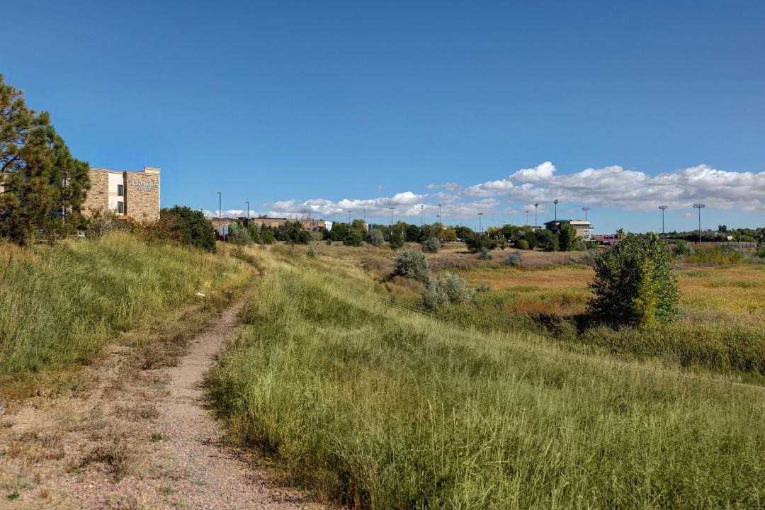 Photo of Others in Stetson Hills