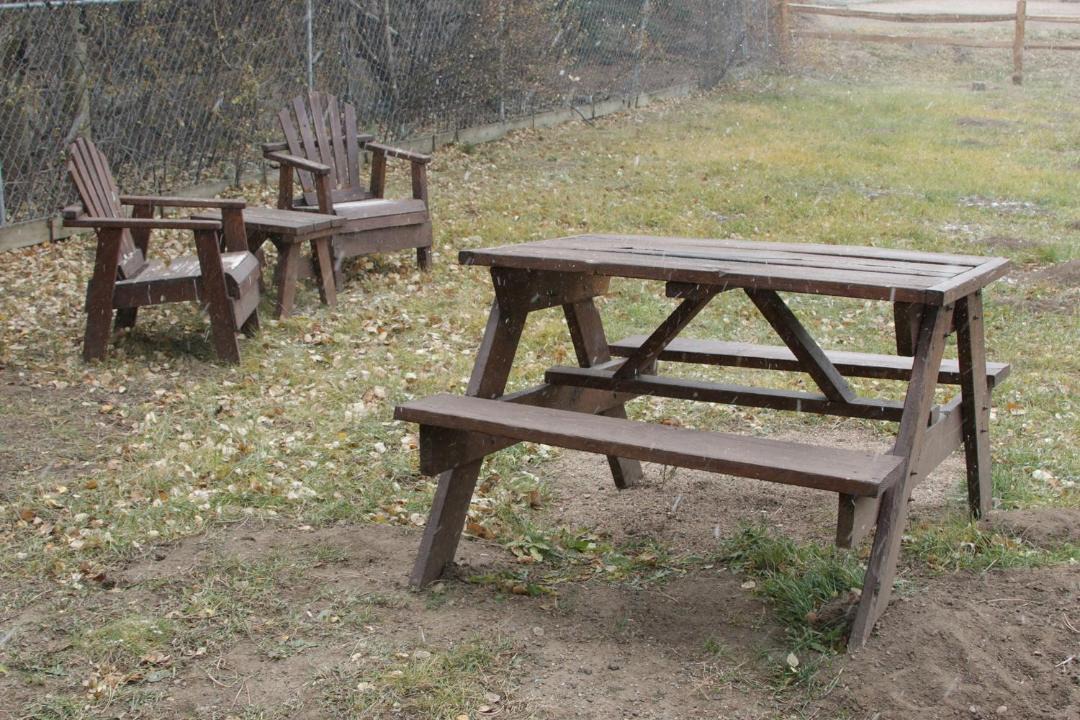 Photo of Others in Estes Park