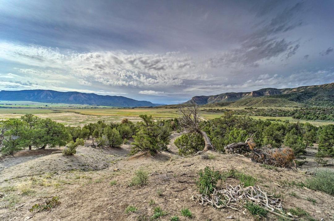 Photo of Others in Mancos