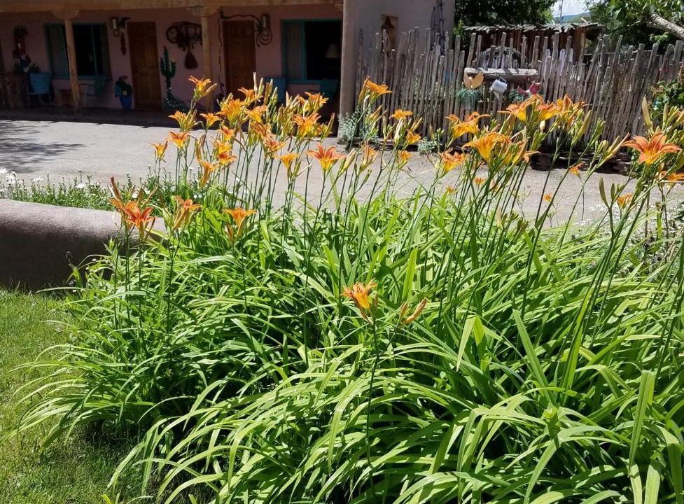 Photo of Others in Taos