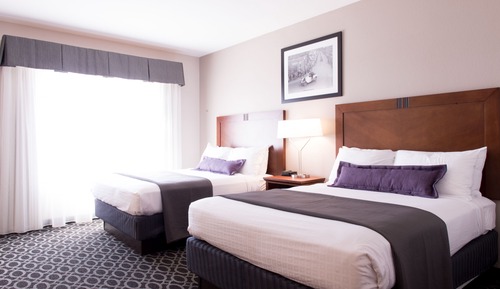 Suite, 2 Queen Beds (Queen Queen)