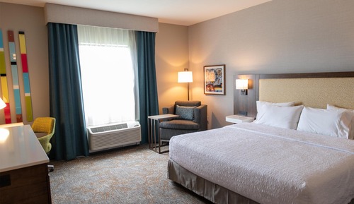 Room, 1 King Bed, Accessible, Non Smoking